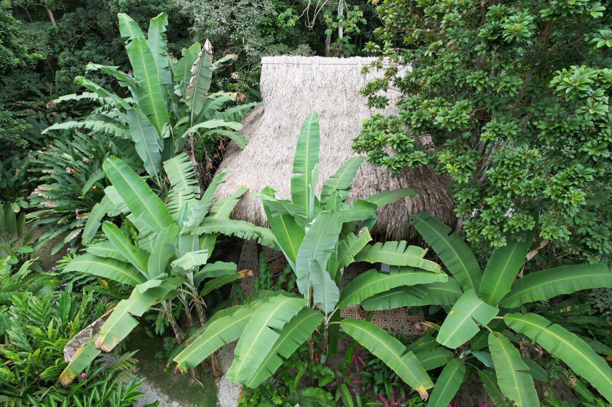 Salvia Madre Hotel Guachaca Eksteriør billede