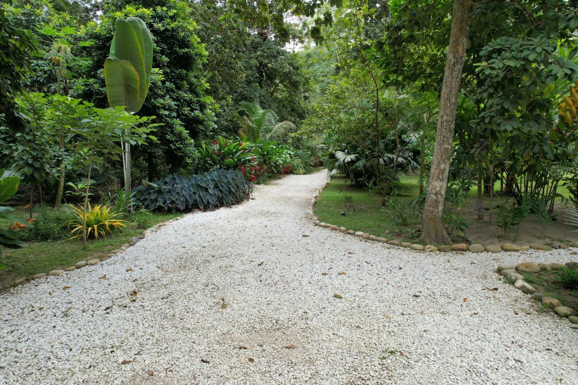 Salvia Madre Hotel Guachaca Eksteriør billede