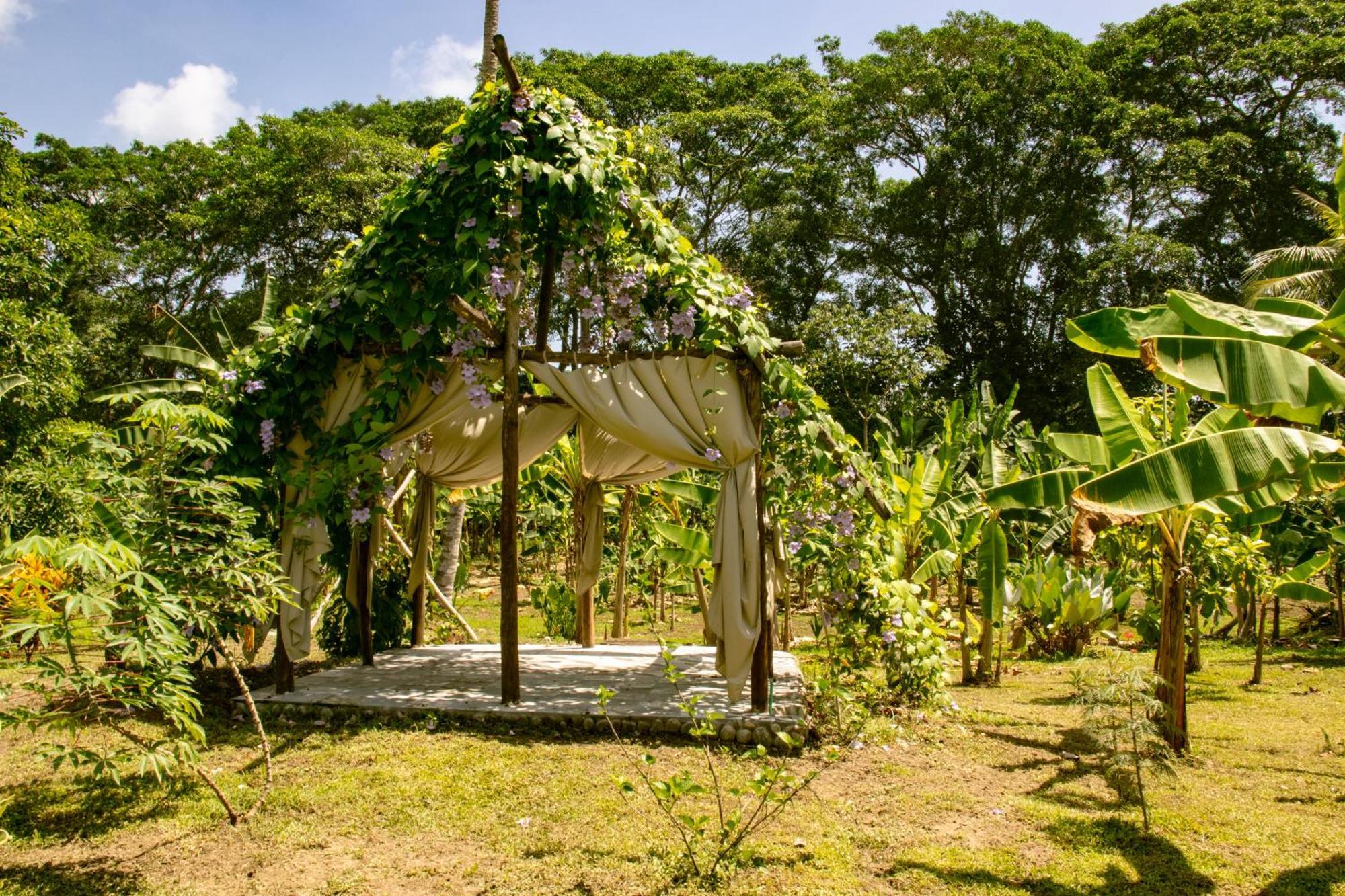 Salvia Madre Hotel Guachaca Eksteriør billede