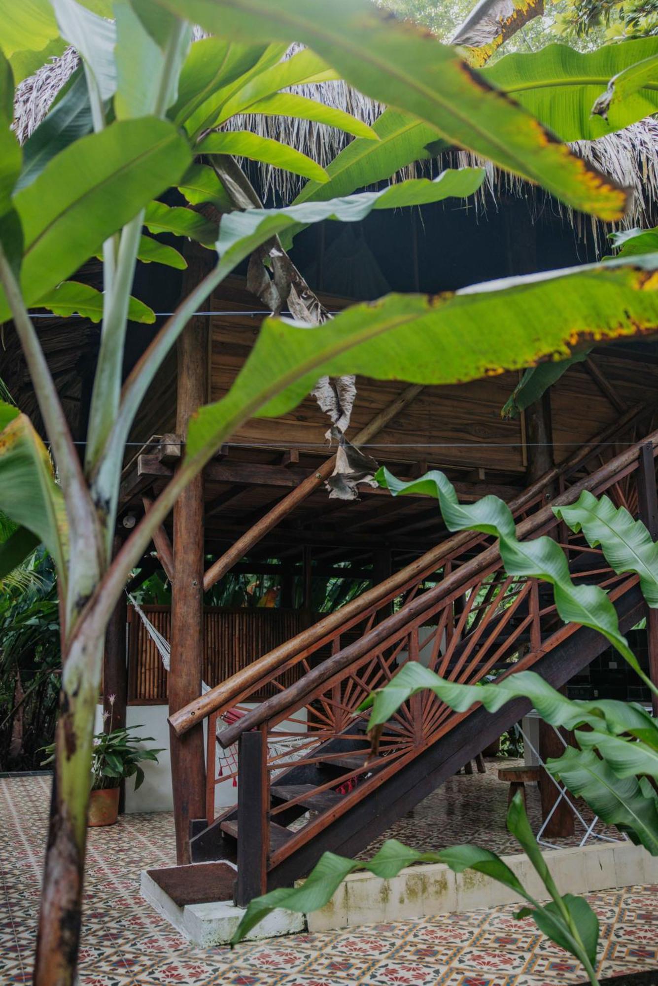 Salvia Madre Hotel Guachaca Eksteriør billede