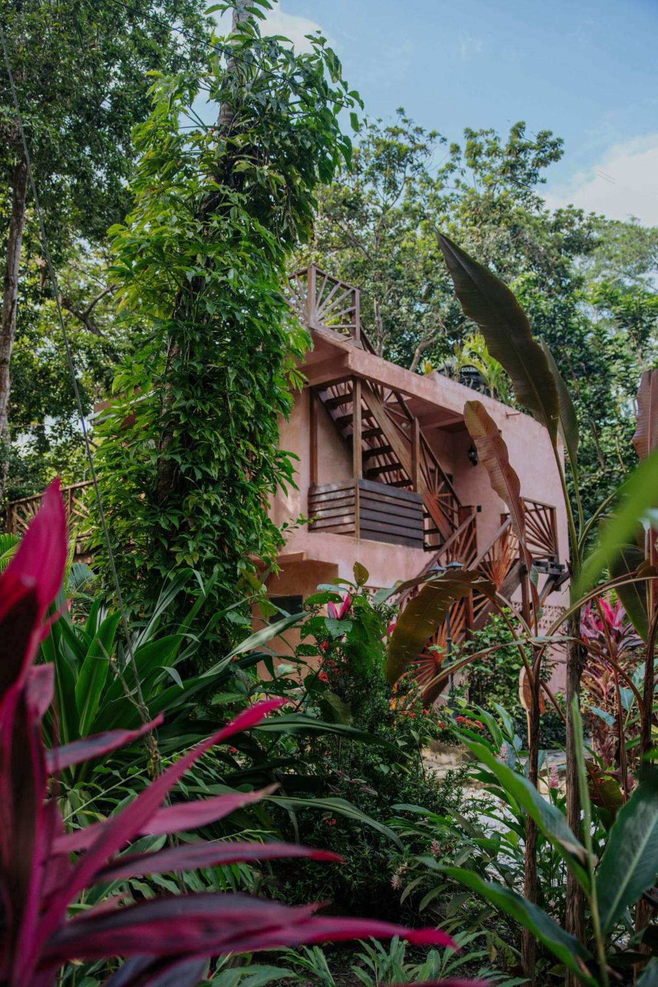 Salvia Madre Hotel Guachaca Eksteriør billede